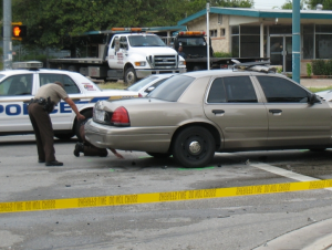 Tow Yard's Dog Killed By Deputies